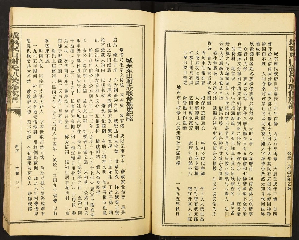 图片[3]-江西赣州宁都县城东东山谢氏八九联修族谱电子版PDF下载-中华家谱网