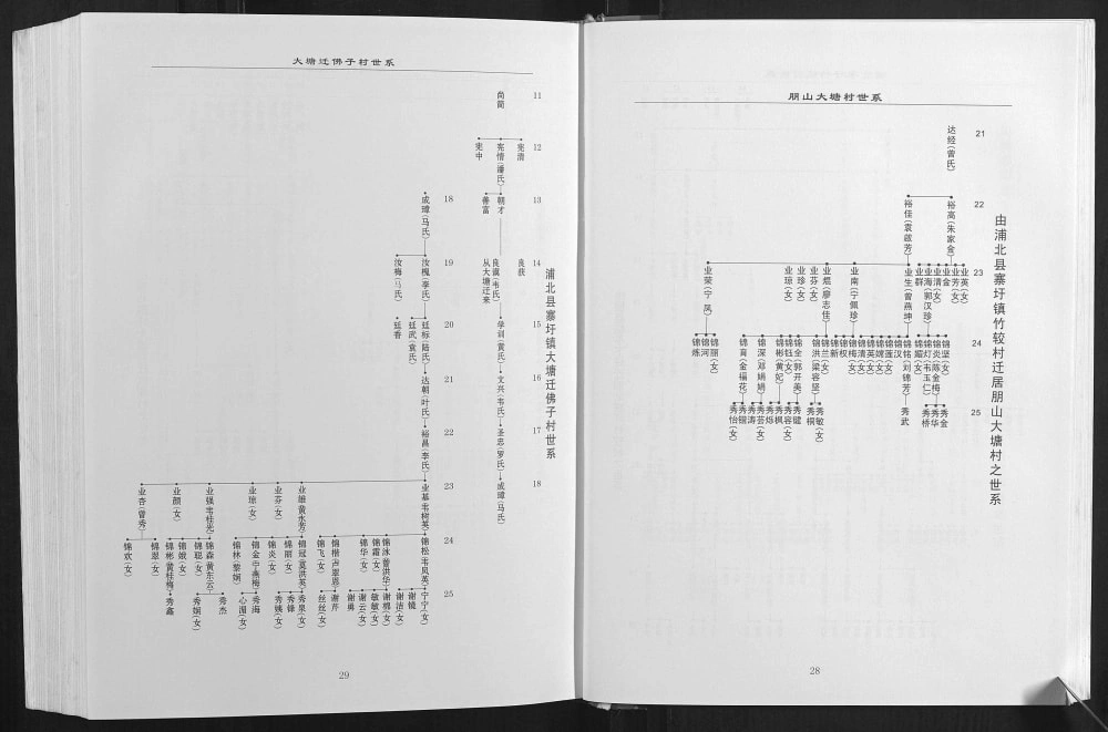 图片[6]-广西钦州灵山县北部湾谢氏族谱电子版PDF下载-中华家谱网
