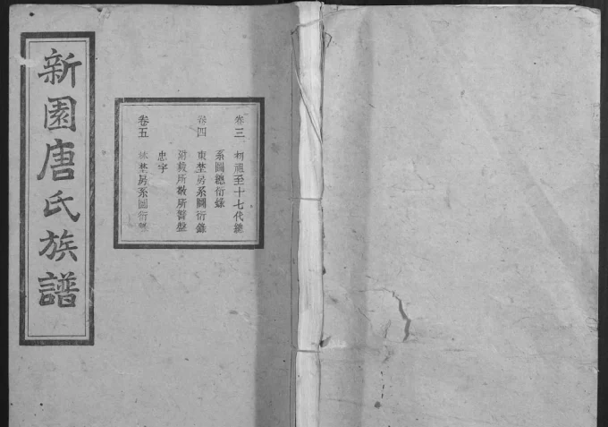 湖南湘乡新园唐氏八修族谱（伦鉴堂）电子版PDF下载-中华家谱网