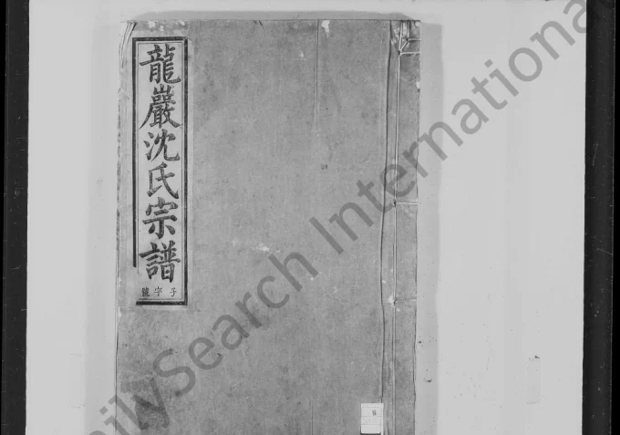 安徽池州石台县龙岩沈氏宗谱电子版PDF下载-中华家谱网