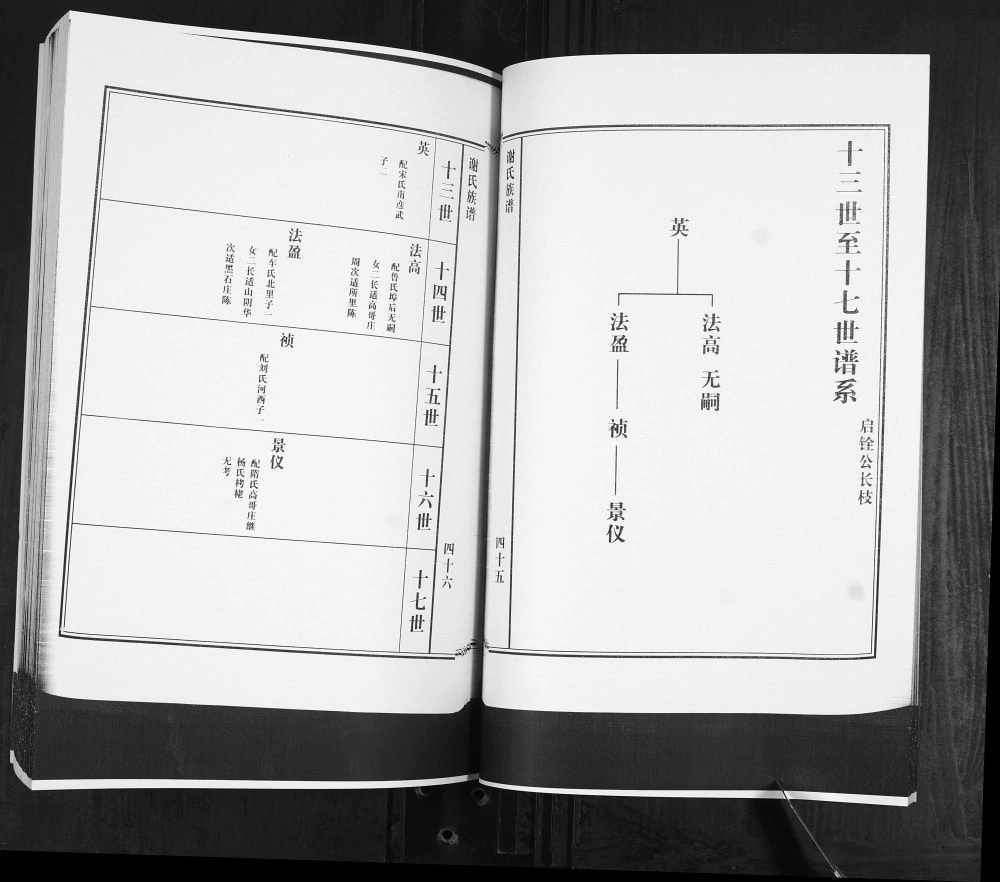 图片[8]-山东青岛即墨宫家大丈谢氏族谱电子版PDF下载-中华家谱网