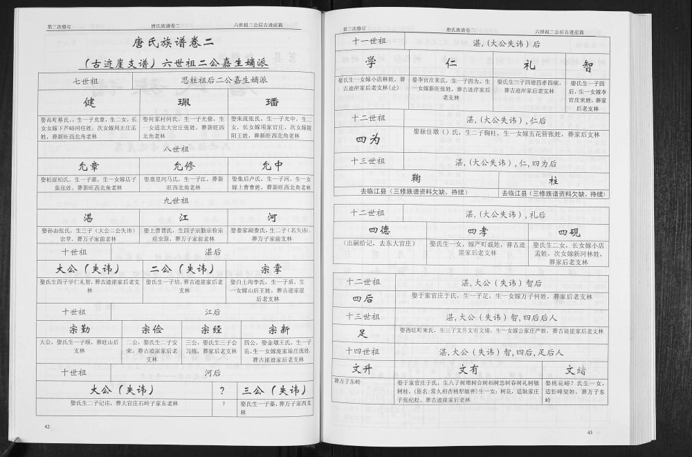 图片[8]-山东日照莒县新旺唐氏族谱电子版PDF下载-中华家谱网