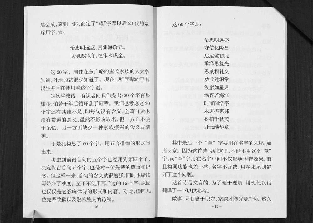 图片[6]-辽宁鞍山岫岩唐氏族谱电子版PDF下载-中华家谱网