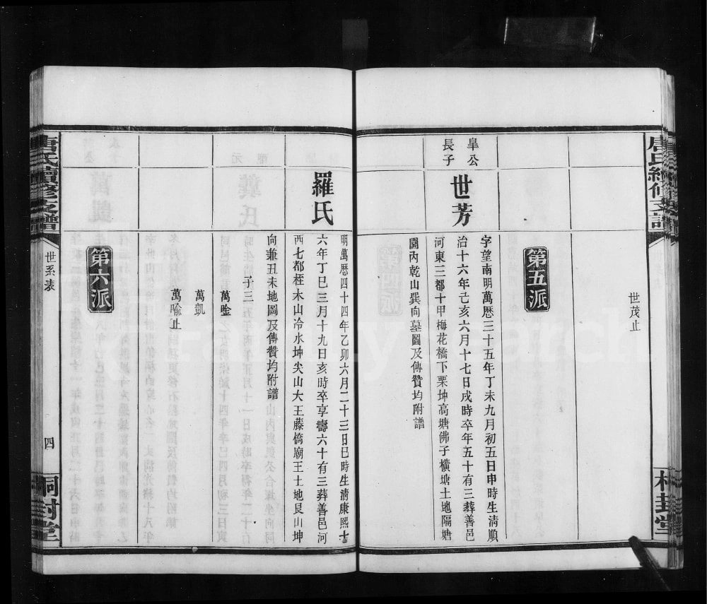 图片[8]-湖南长沙唐氏续修支谱（桐封堂）电子版PDF下载-中华家谱网