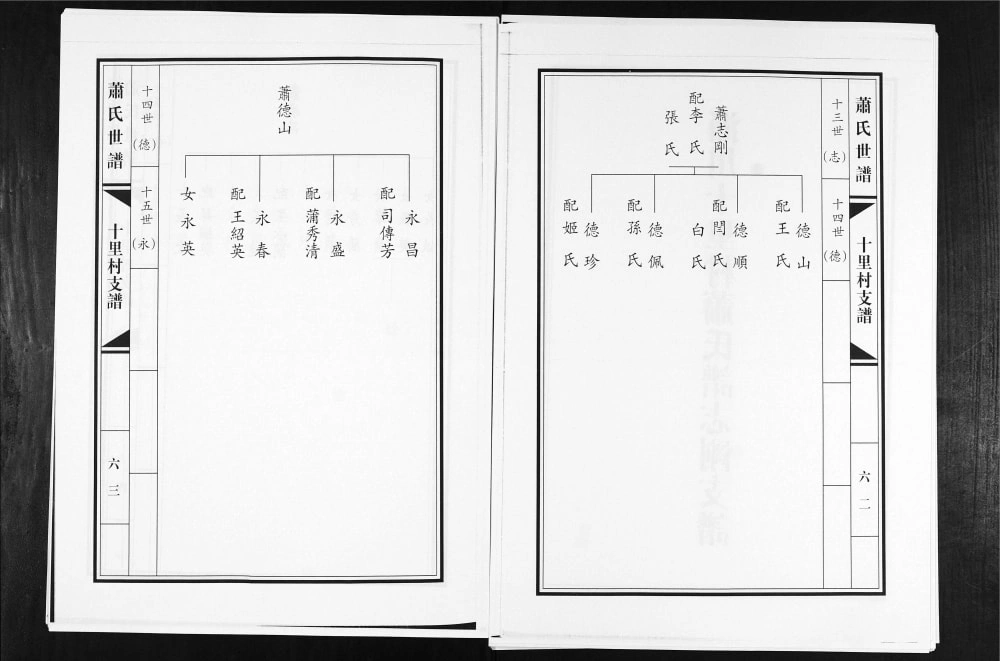 图片[7]-山东淄博淄川萧(肖)氏世谱电子版PDF下载-中华家谱网