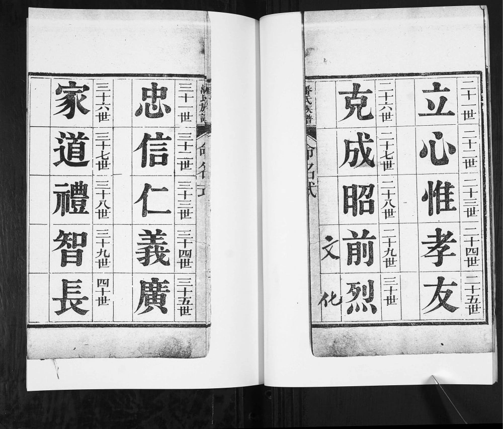 图片[4]-山东莱阳潘氏族谱（追远堂）电子版PDF下载-中华家谱网