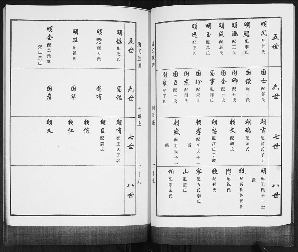 图片[7]-山东青岛即墨唐氏族谱电子版PDF下载-中华家谱网