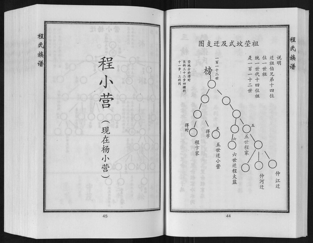 图片[5]-河北沧州盐山程氏族谱电子版PDF下载-中华家谱网