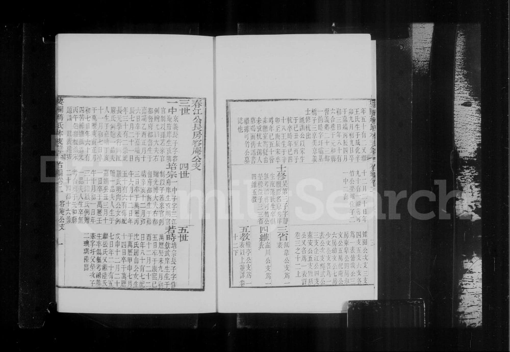 图片[8]-江苏苏州娄关蒋氏本支录右编电子版PDF下载-中华家谱网