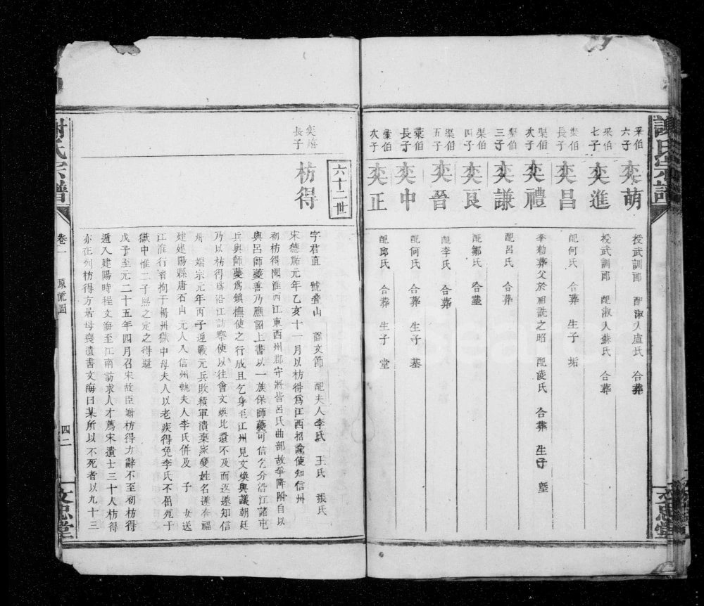 图片[5]-江西奉新谢氏宗谱（文忠堂）电子版PDF下载-中华家谱网