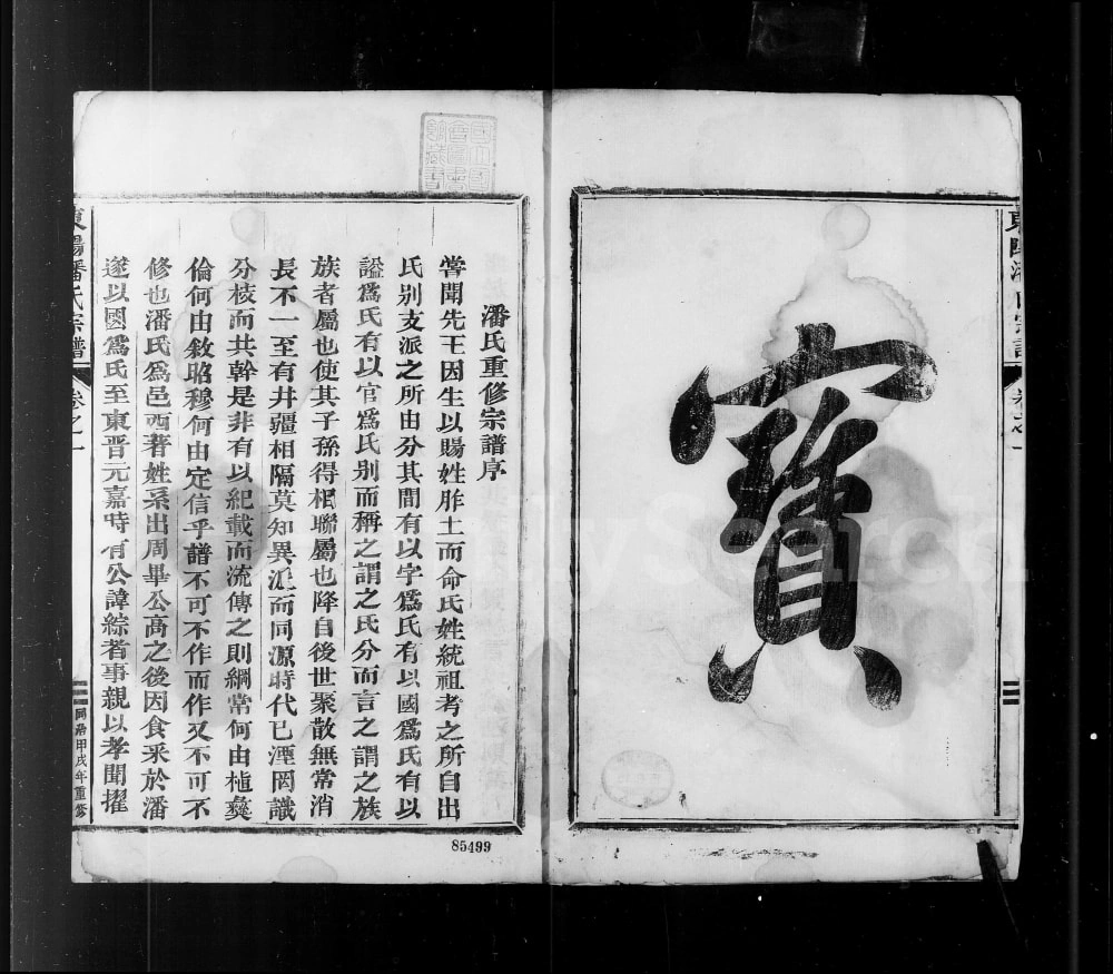 图片[1]-浙江东阳潘氏宗谱电子版PDF下载-中华家谱网