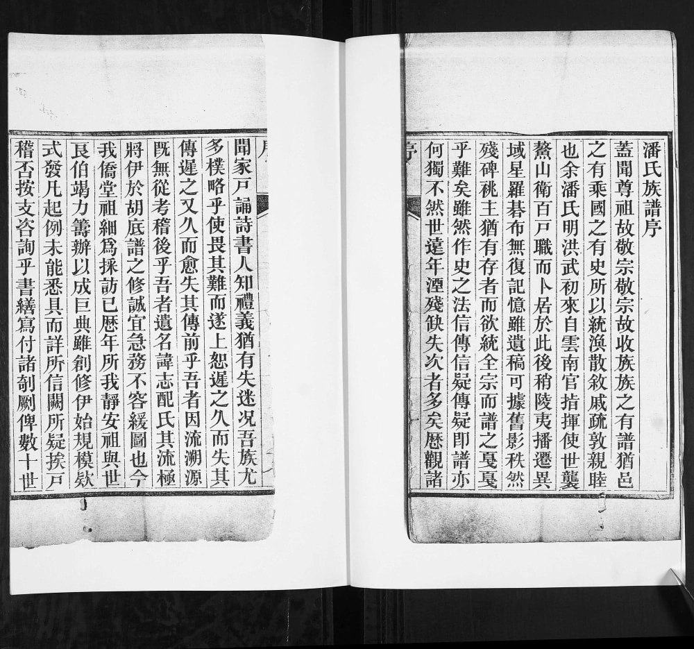 图片[3]-山东莱阳潘氏族谱（追远堂）电子版PDF下载-中华家谱网