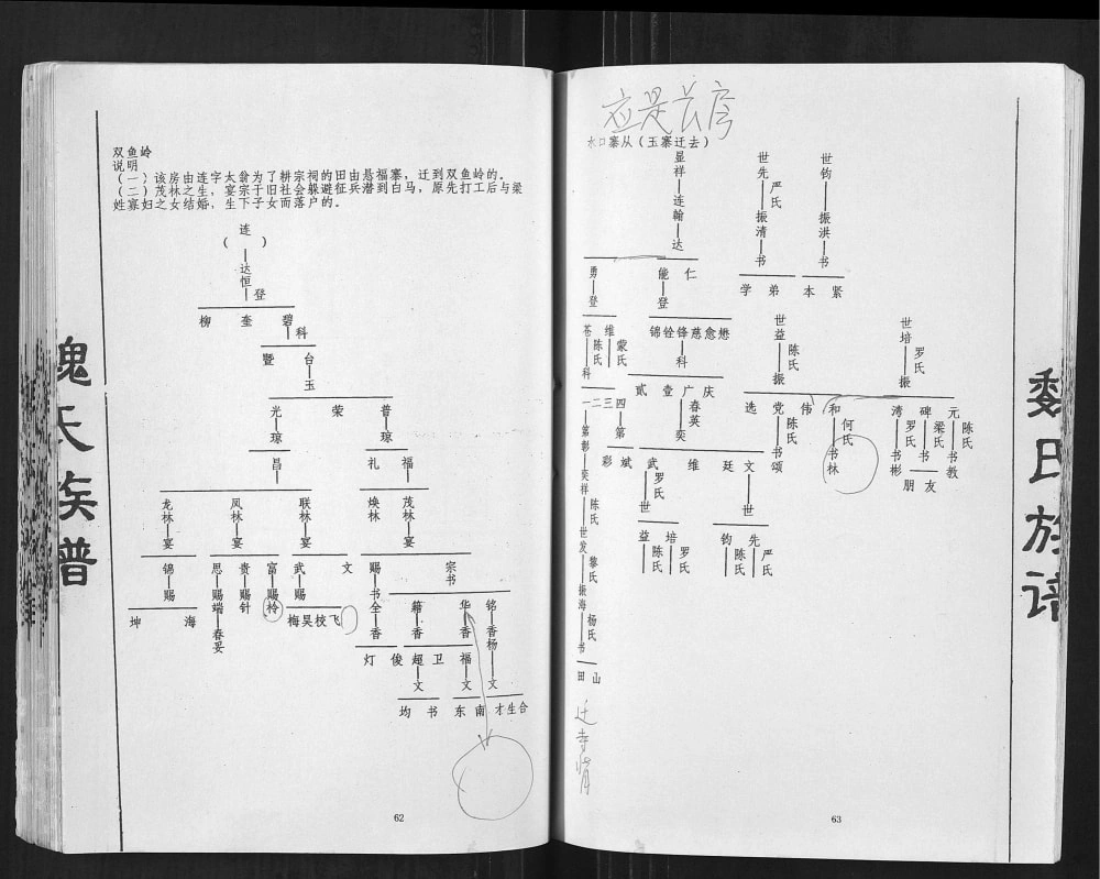 图片[8]-广西贺州魏氏族谱电子版PDF下载-中华家谱网
