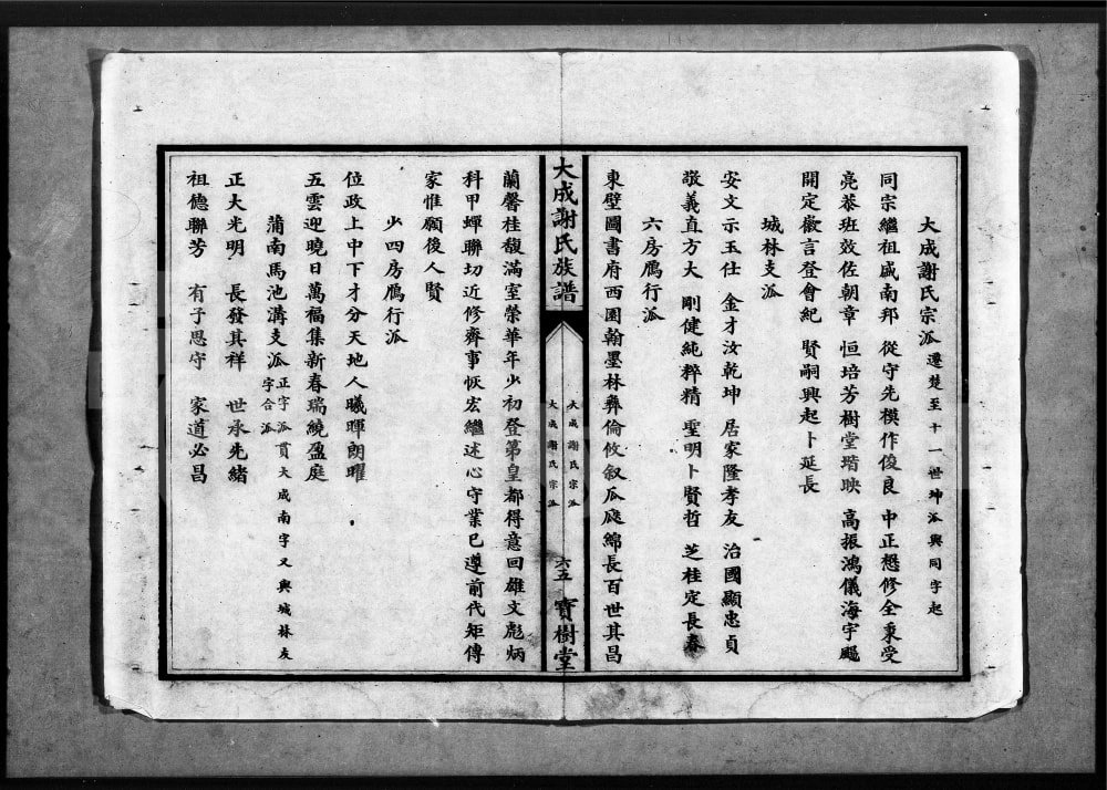 图片[4]-湖北应城大成谢氏族谱（宝树堂）电子版PDF下载-中华家谱网