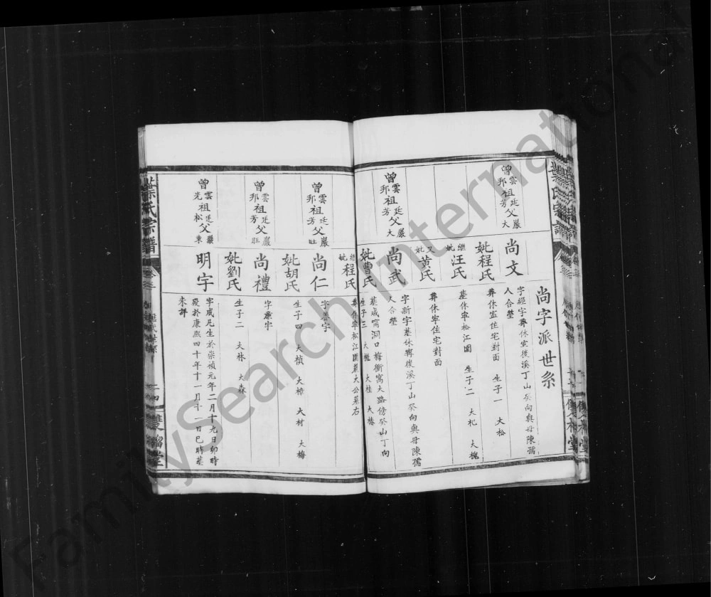 图片[8]-湖北咸宁叶氏宗谱（双榴堂）电子版PDF下载-中华家谱网