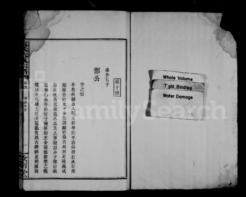 图片[8]-江西袁氏大成宗谱（汝南堂）电子版PDF下载-中华家谱网