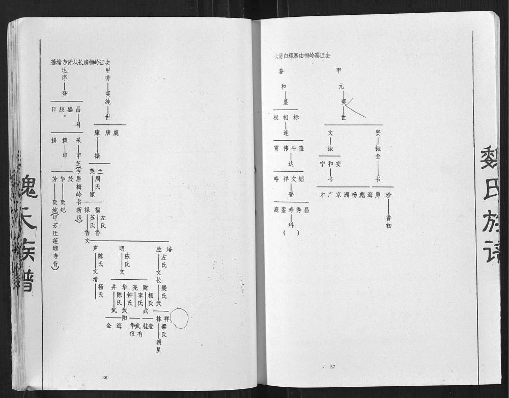图片[6]-广西贺州魏氏族谱电子版PDF下载-中华家谱网