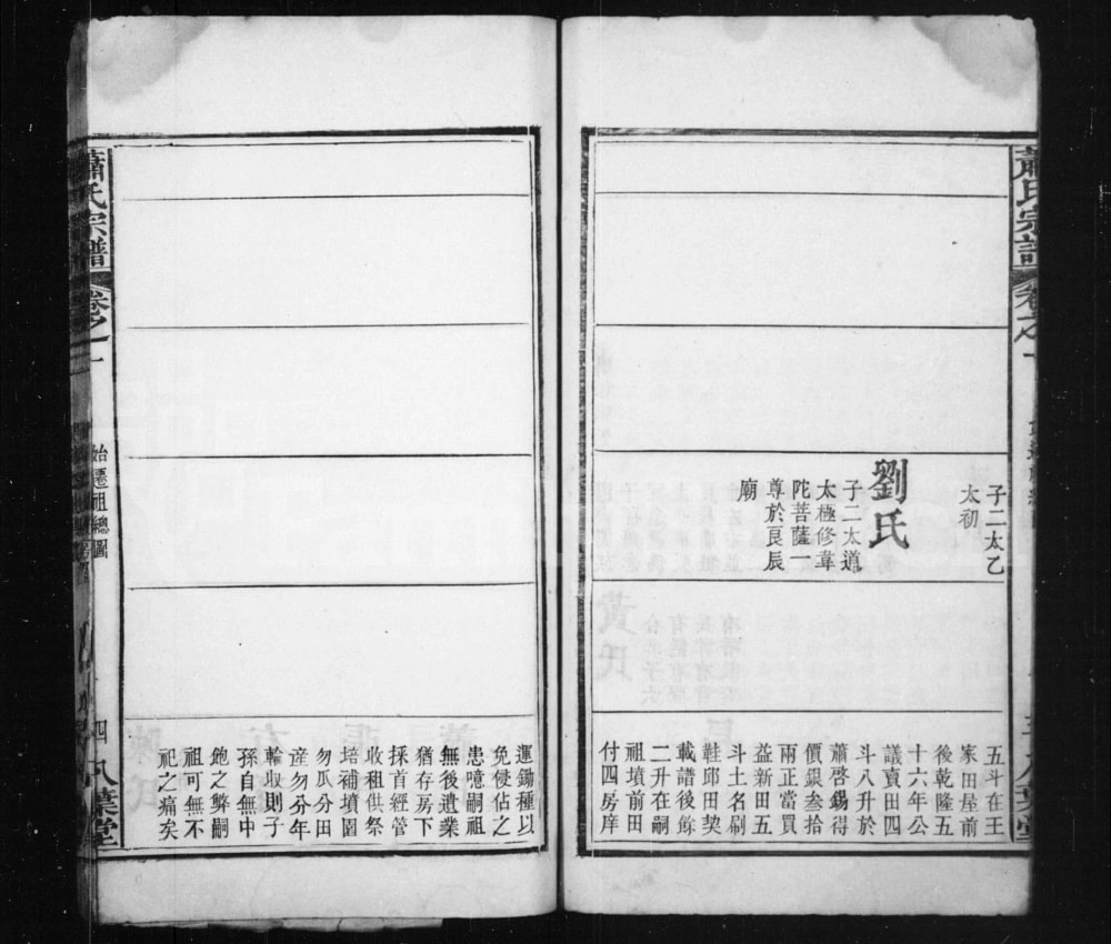 图片[8]-湖北武汉黄陂区萧(肖)氏凤亭公宗谱（八叶堂）电子版PDF下载-中华家谱网