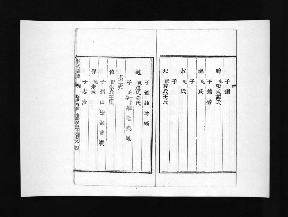 图片[7]-山东淄博博山区盆泉魏氏族谱电子版PDF下载-中华家谱网