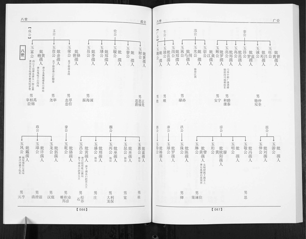 图片[7]-广东梅州五华县唐氏族谱电子版PDF下载-中华家谱网