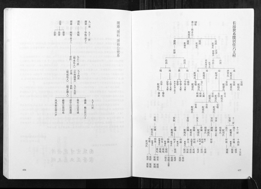 图片[8]-广西玉林容县潘氏万禄公渭漳公渭科公支系电子版PDF下载-中华家谱网