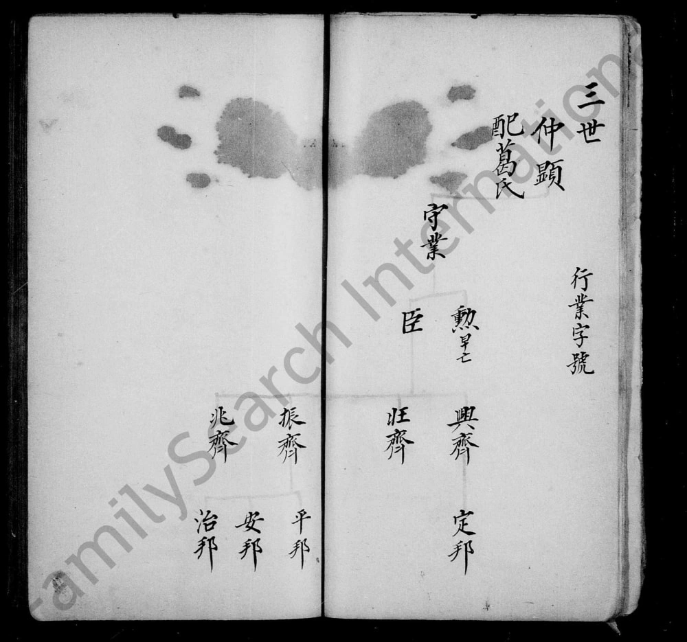 图片[8]-河北沧州青县姜氏家谱电子版PDF下载-中华家谱网