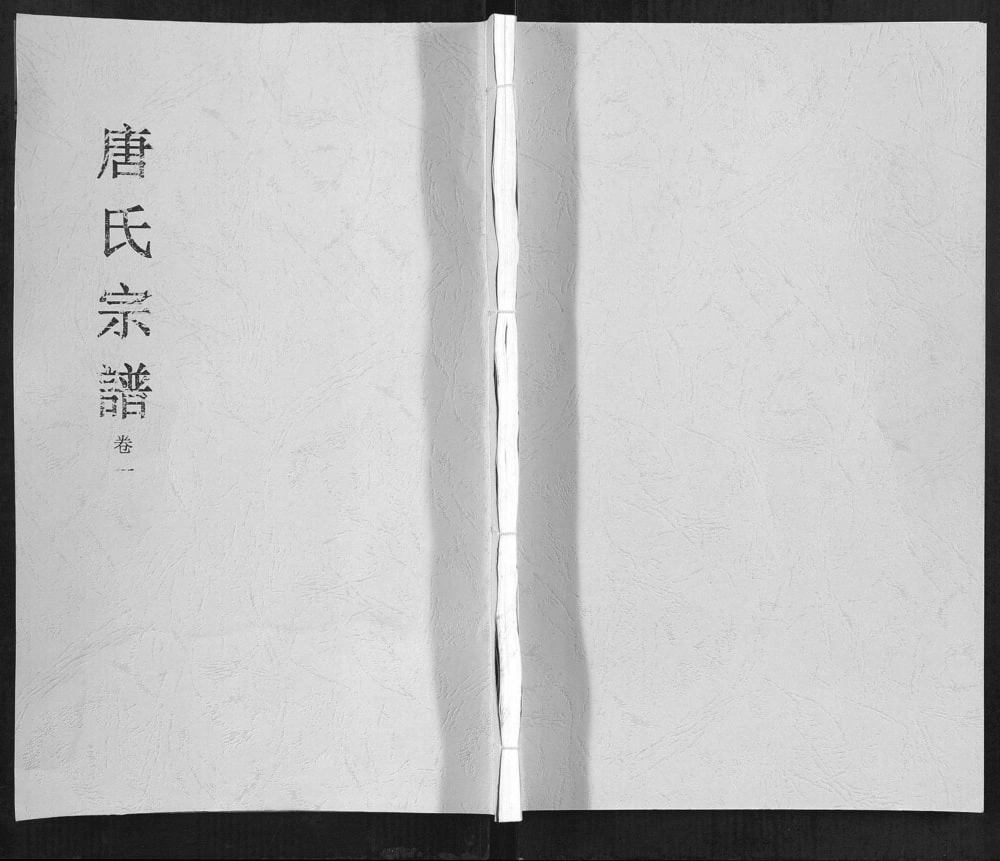 图片[1]-安徽合肥唐氏宗谱（锡镜堂）电子版PDF下载-中华家谱网