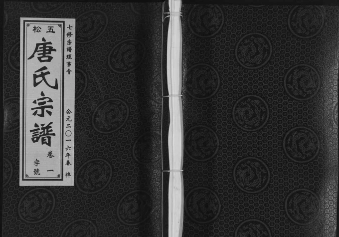 安徽铜陵五松唐氏宗谱（晋阳堂）电子版PDF下载-中华家谱网