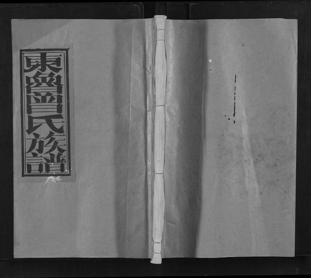 图片[1]-江西赣州宁都县东鲁曾氏士盛祖九修族谱电子版PDF下载-中华家谱网