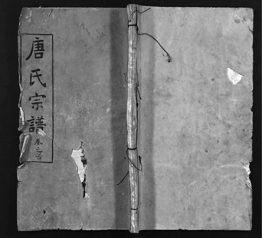 图片[1]-湖北麻城唐氏宗谱（勤俭堂）电子版PDF下载-中华家谱网