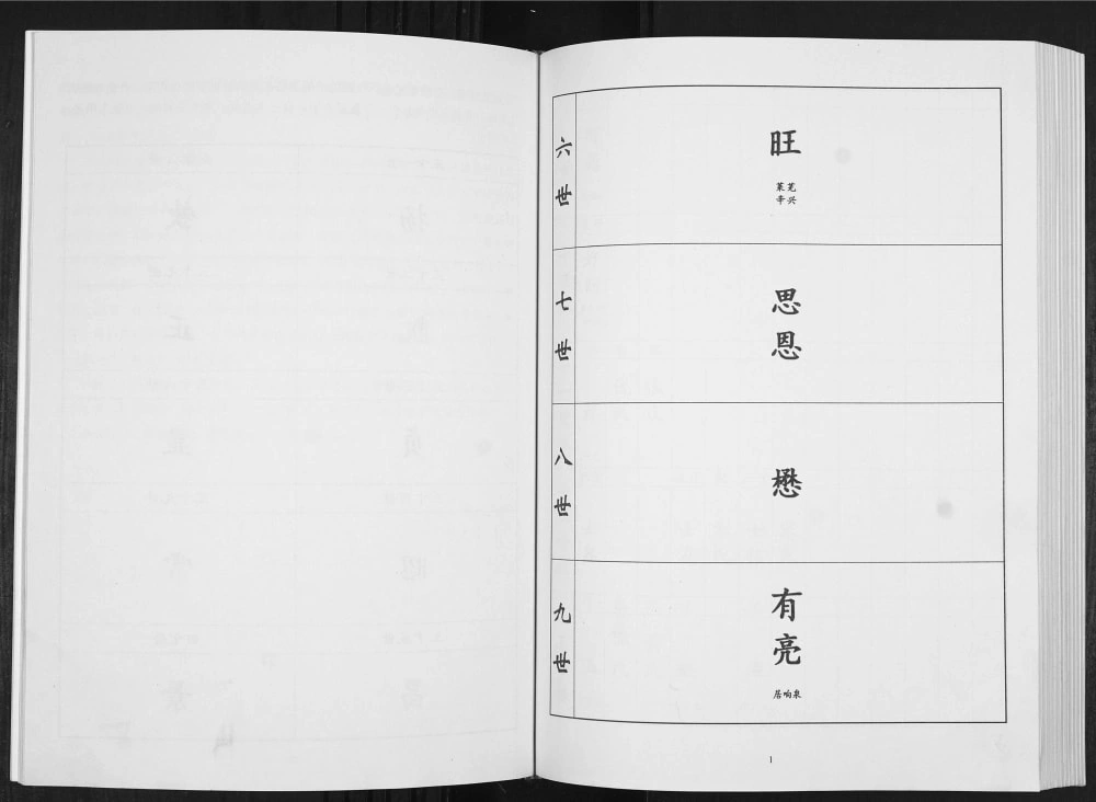 图片[6]-山东淄博许氏族谱博山茂岭支谱电子版PDF下载-中华家谱网