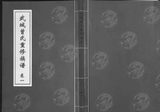 山东临沂莒南县武城曾氏重修族谱电子版PDF下载-中华家谱网