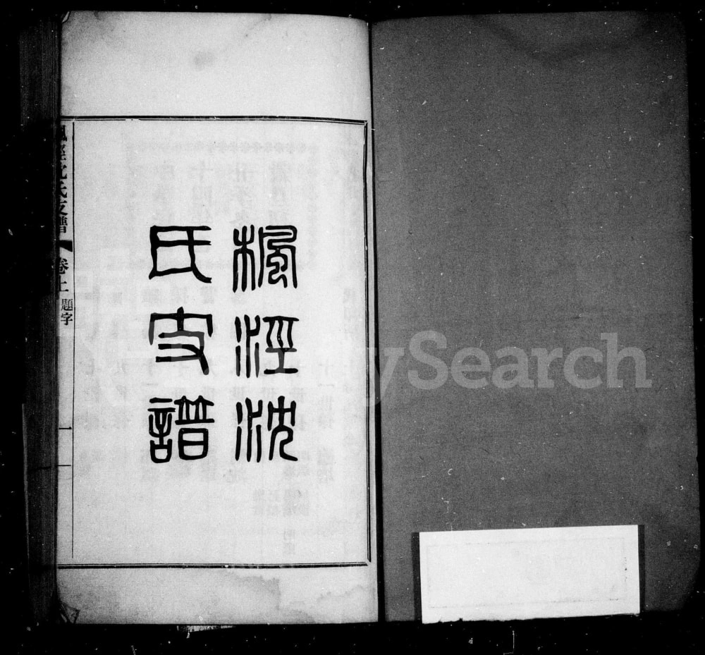 图片[2]-上海金山区枫泾沈氏支谱电子版PDF下载-中华家谱网