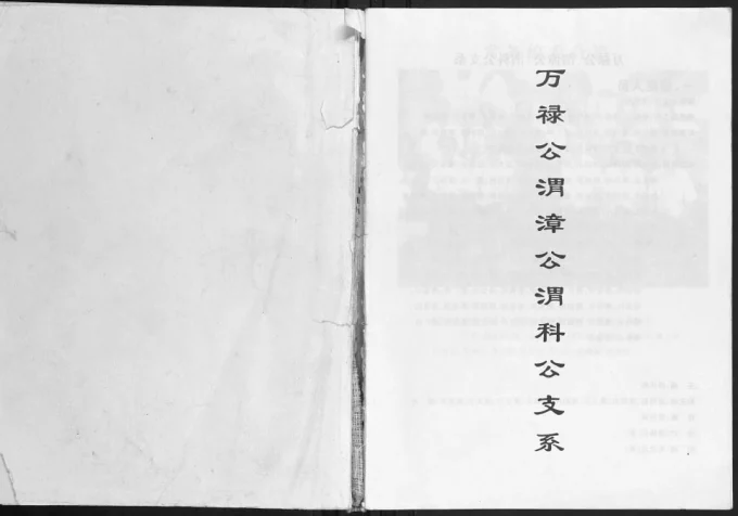 广西玉林容县潘氏万禄公渭漳公渭科公支系-中华家谱网