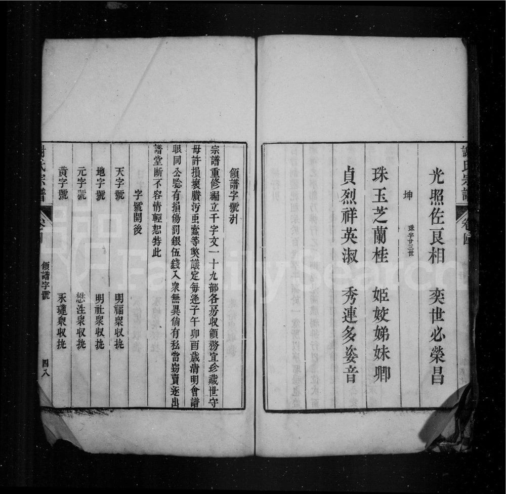 图片[3]-安徽宣城旌德谢氏宗谱电子版PDF下载-中华家谱网