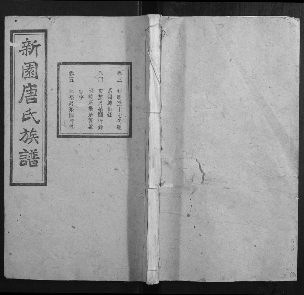 图片[1]-湖南湘乡新园唐氏八修族谱（伦鉴堂）电子版PDF下载-中华家谱网