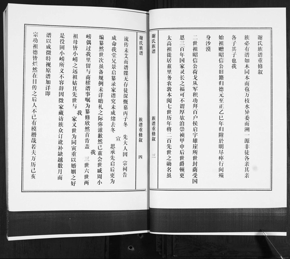 图片[3]-山东青岛即墨宫家大丈谢氏族谱电子版PDF下载-中华家谱网