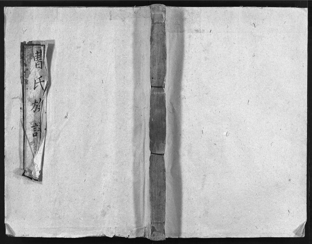 图片[1]-湖南楚南曹氏族谱（三峰堂）电子版PDF下载-中华家谱网