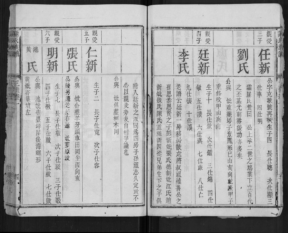 图片[8]-广东梅州平远差干谢氏族谱电子版PDF下载-中华家谱网