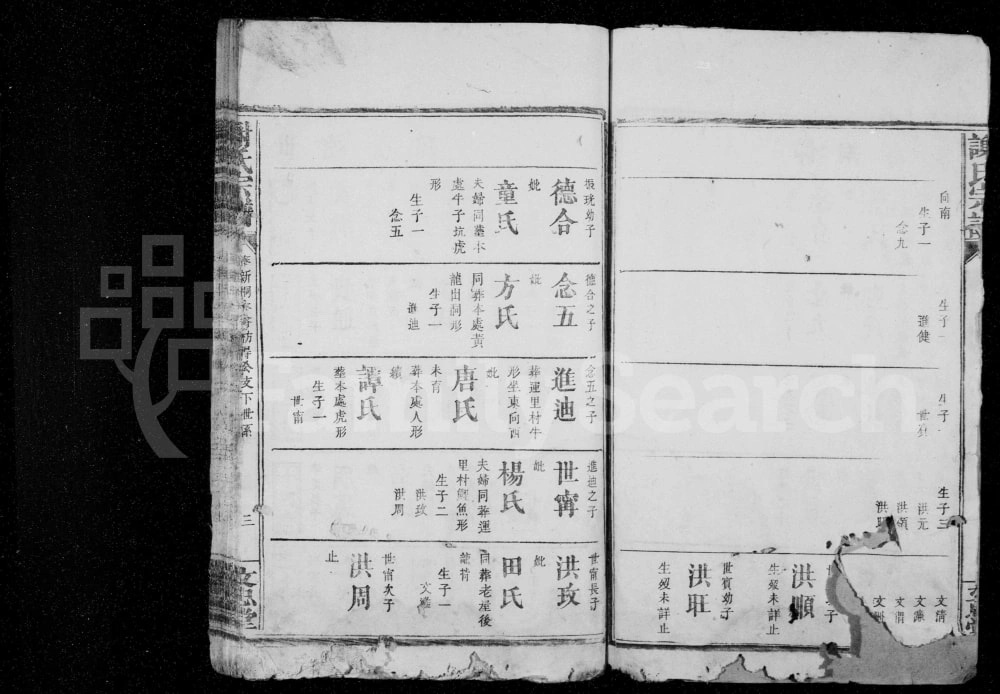 图片[8]-江西奉新谢氏宗谱（文忠堂）电子版PDF下载-中华家谱网