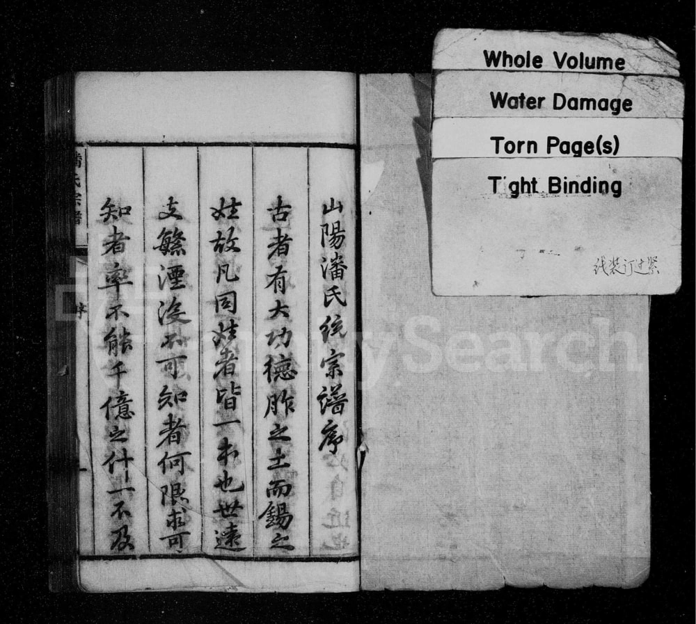 图片[2]-江苏淮安潘氏统宗谱附续修世系电子版PDF下载-中华家谱网