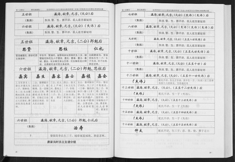 图片[7]-山东日照莒县新旺唐氏族谱电子版PDF下载-中华家谱网