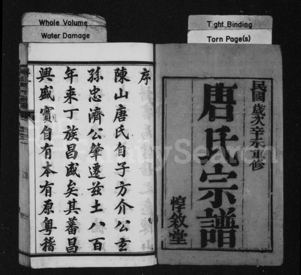 图片[1]-江苏丹阳唐氏宗谱（惇叙堂）电子版PDF下载-中华家谱网