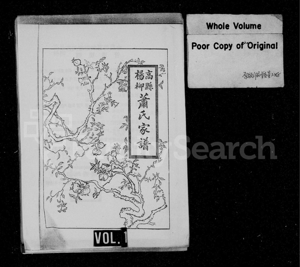 图片[1]-四川宜宾高县杨柳萧(肖)氏家谱电子版PDF下载-中华家谱网