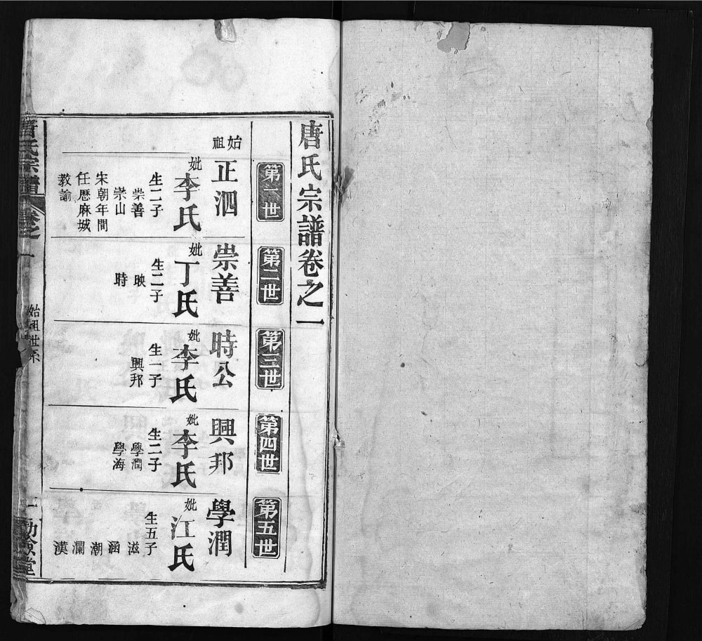 图片[5]-湖北麻城唐氏宗谱（勤俭堂）电子版PDF下载-中华家谱网