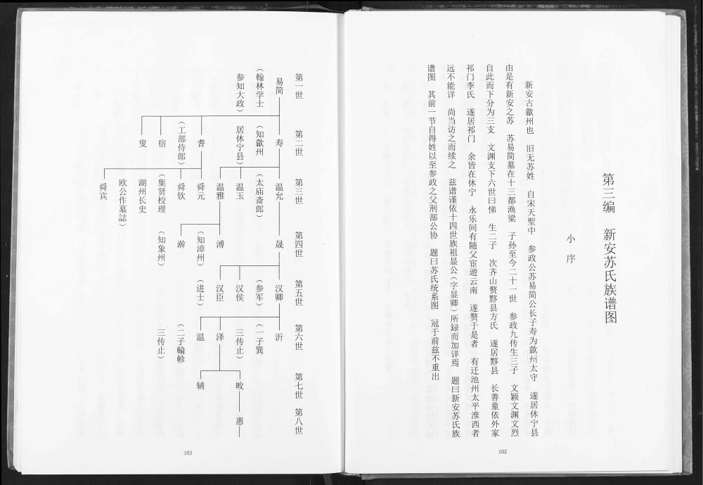 图片[3]-湖北荆州江陵苏氏宗谱（新安堂）电子版PDF下载-中华家谱网