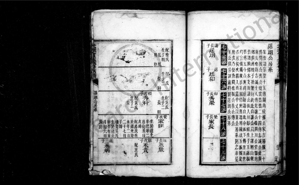 图片[6]-四川成都金堂县曾氏族谱电子版PDF下载-中华家谱网