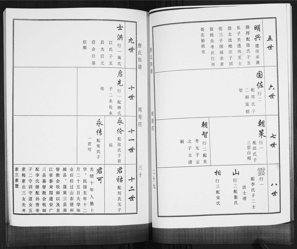 图片[8]-山东青岛即墨唐氏族谱电子版PDF下载-中华家谱网