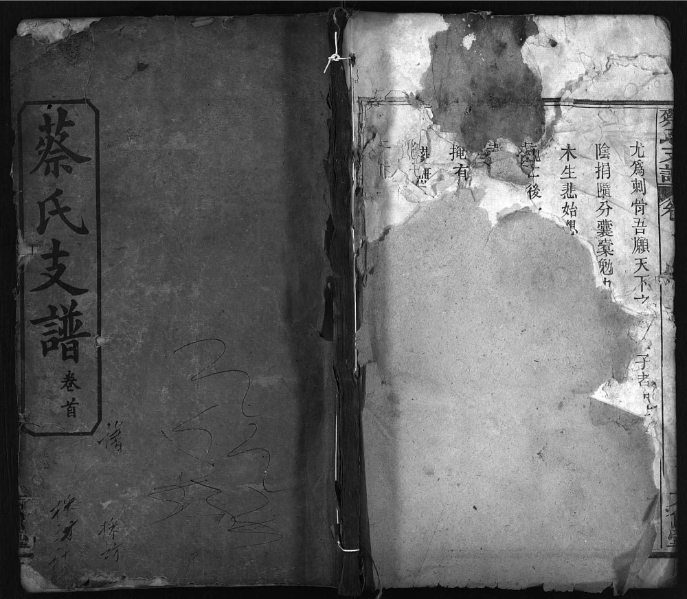 图片[1]-湖北麻城上分蔡氏支谱（方伯堂）电子版PDF下载-中华家谱网