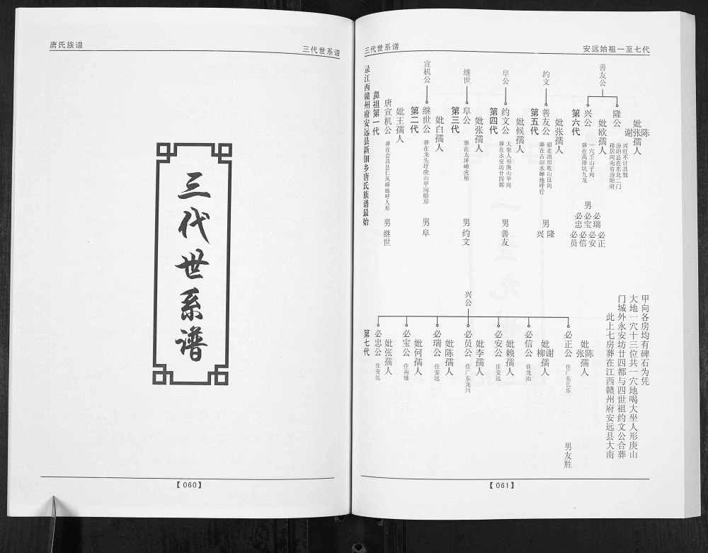 图片[4]-广东梅州五华县唐氏族谱电子版PDF下载-中华家谱网